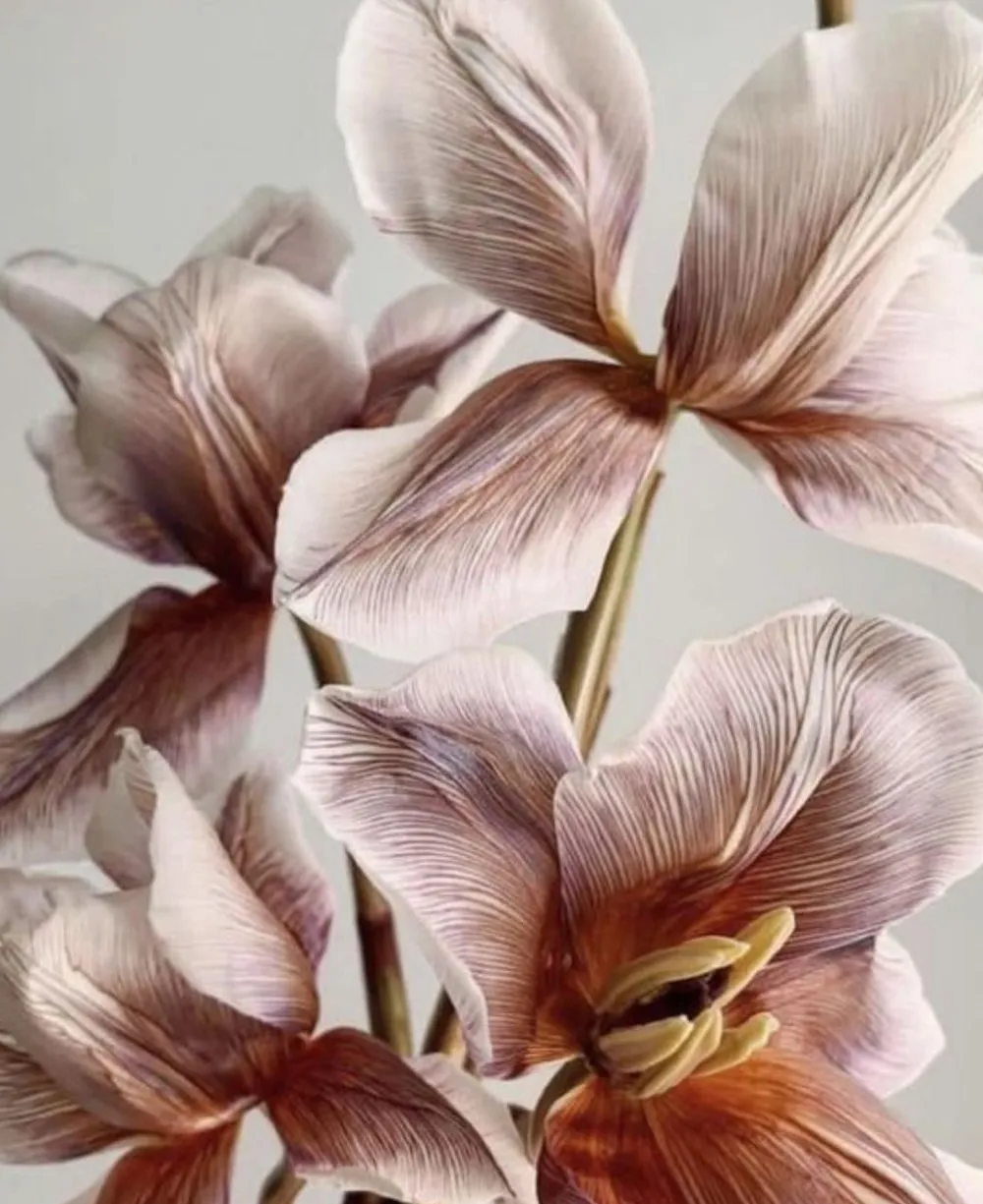 Semikolon Album na zdjęcia Natural Affair Medium - - Blossom