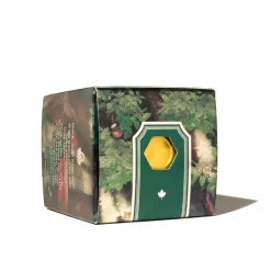 Ferris Wheel Press Atrament FerriTales - - Cloak and Forest, 20 ml