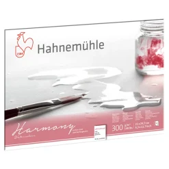 Hahnemuhle Blok do akwareli Harmony - Hahnemühle - cold pressed, A4, 300 g, 12 ark.