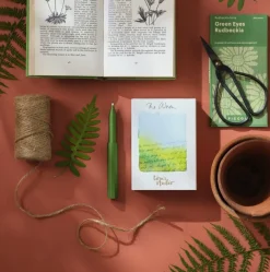 Tom's Studio Cienkopis The Wren Special Edition - - Botanica