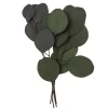 dpCraft Eukaliptus Populus - - zielony, 20 cm, 4 szt.