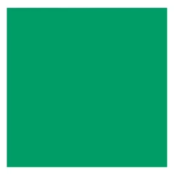 Rembrandt Farba akrylowa - - Emerald Green, 40 ml