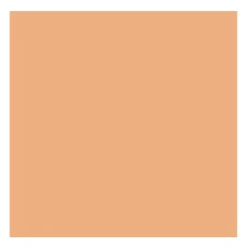 Rembrandt Farba akrylowa - - Naples Yellow Red, 40 ml