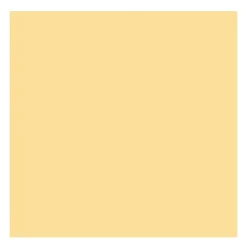 Rembrandt Farba akrylowa - - Naples Yellow Deep, 40 ml