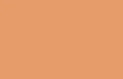 Liquitex Farba akrylowa w spray'u - - Raw Sienna 5, 400 ml