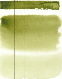 Roman Szmal Farba akwarelowa Aquarius - - 363, Autumn Green, kostka