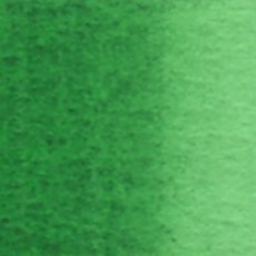 Holbein Farba akwarelowa Artists’ Watercolor - - Hooker’s Green, 5 ml