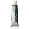Holbein Farba akwarelowa Artists’ Watercolor - - Sap Green, 5 ml