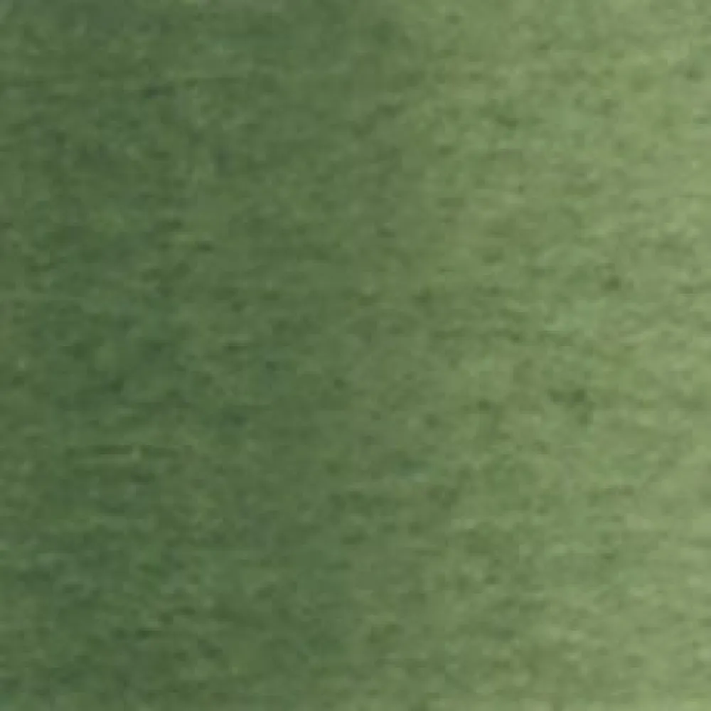 Holbein Farba akwarelowa Artists’ Watercolor - - Green Grey, 5 ml