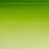Winsor & Newton Farba akwarelowa Cotman - - Sap Green, półkostka