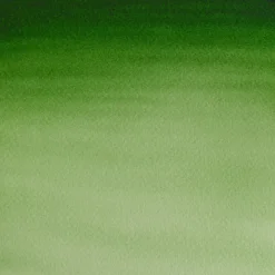 Winsor & Newton Farba akwarelowa Cotman - - Hooker's Green Light, 8 ml