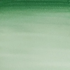 Winsor & Newton Farba akwarelowa Cotman - - Hooker's Green Dark, półkostka > Farby Akwarelowe