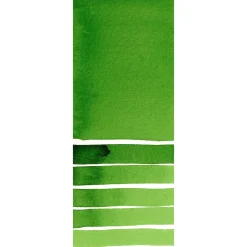 Daniel Smith Farba akwarelowa Extra Fine - - Hooker's Green, 5 ml