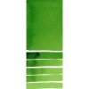 Daniel Smith Farba akwarelowa Extra Fine - - Hooker's Green, 15 ml