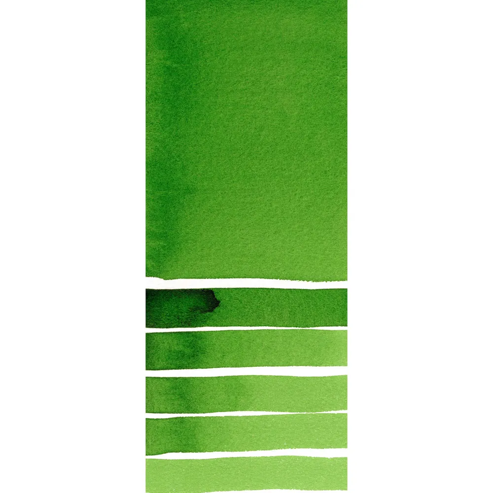 Daniel Smith Farba akwarelowa Extra Fine - - Hooker's Green, 15 ml