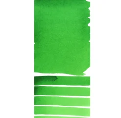 Daniel Smith Farba akwarelowa Extra Fine w sztyfcie - - Permanent Green Light