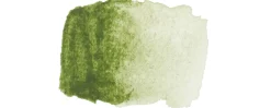Renesans Farba akwarelowa Grand Godet w kostce - - 33 Green Earth