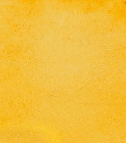 Schmincke Farba akwarelowa Horadam Aquarell - - 657, Transparent Ochre, 5 ml