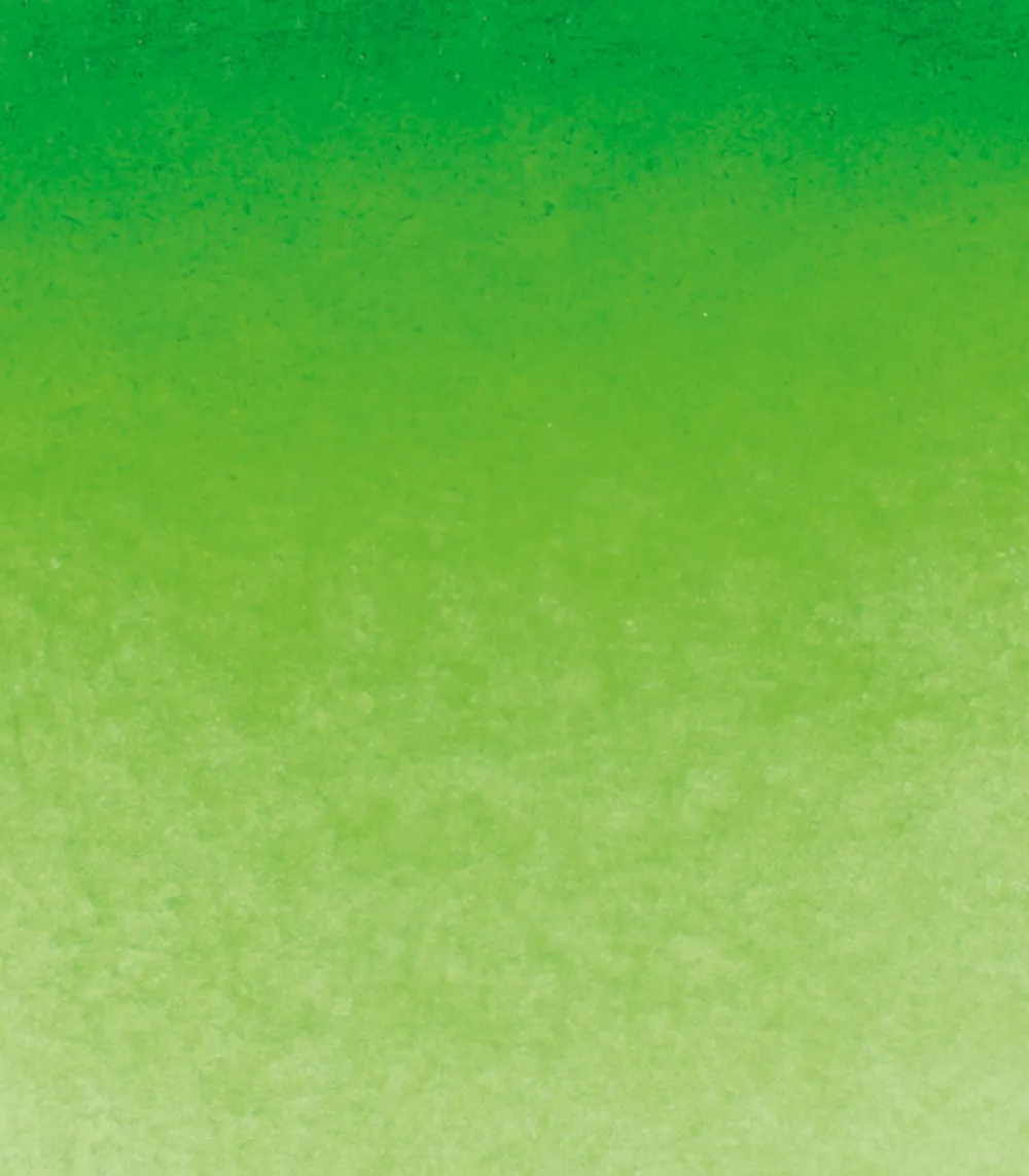 Schmincke Farba akwarelowa Horadam Aquarell - - 526, Permanent Green, 15 ml