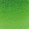 Schmincke Farba akwarelowa Horadam Aquarell - - 530, Sap Green, 15 ml