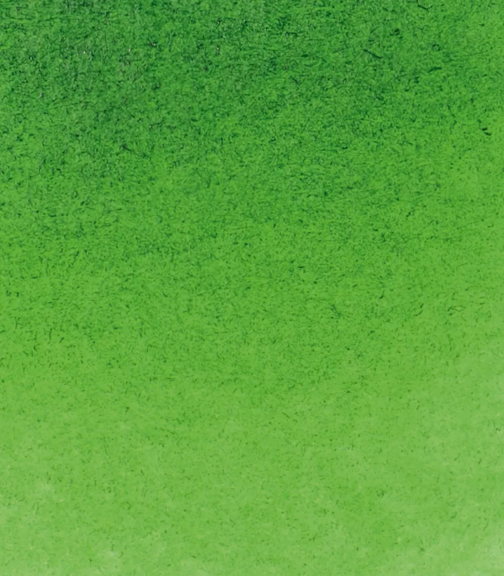 Schmincke Farba akwarelowa Horadam Aquarell - - 530, Sap Green, 15 ml