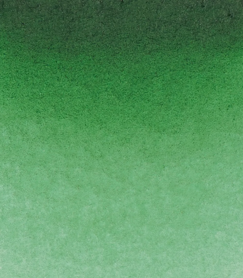 Schmincke Farba akwarelowa Horadam Aquarell - - 534, Permanent Green Olive, 15 ml