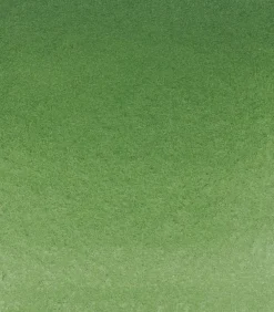Schmincke Farba akwarelowa Horadam Aquarell - - 512, Chromium Oxide Green
