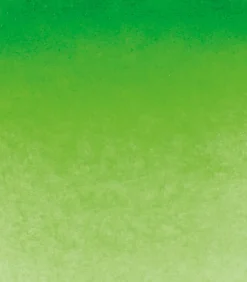 Schmincke Farba akwarelowa Horadam Aquarell - - 526, Permanent Green