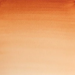 Winsor & Newton Farba akwarelowa Professional w półkostce - - Burnt Sienna