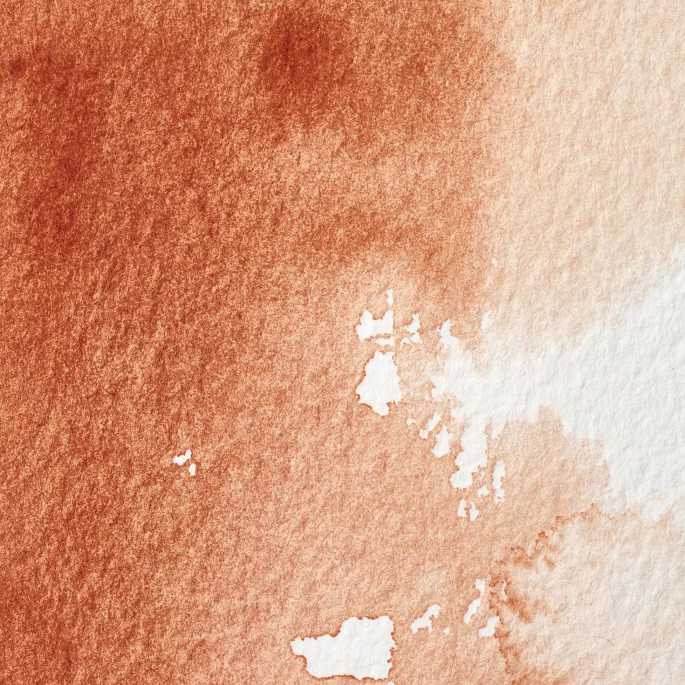 Winsor & Newton Farba akwarelowa Professional w półkostce - - Burnt Sienna