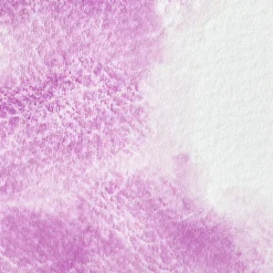 Winsor & Newton Farba akwarelowa Professional w półkostce - - Cobalt Violet > Farby Akwarelowe