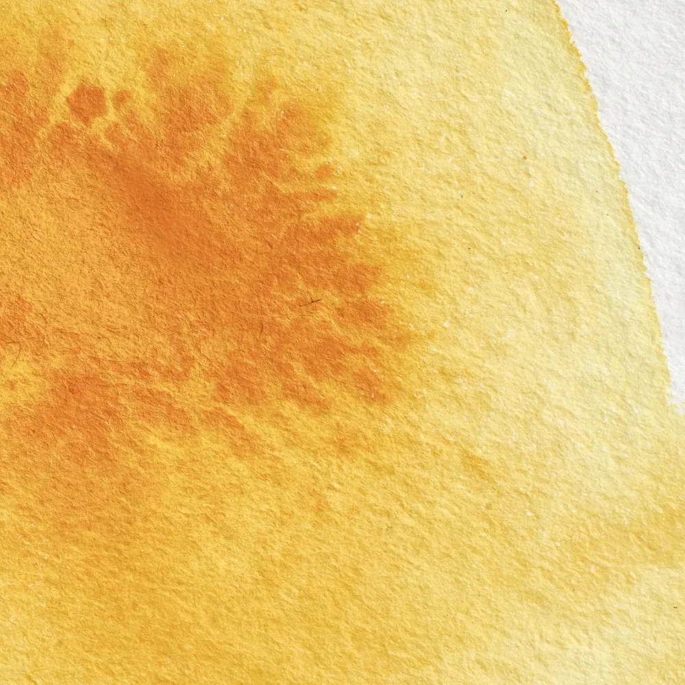 Winsor & Newton Farba akwarelowa Professional w półkostce - - Cadmium Yellow Deep