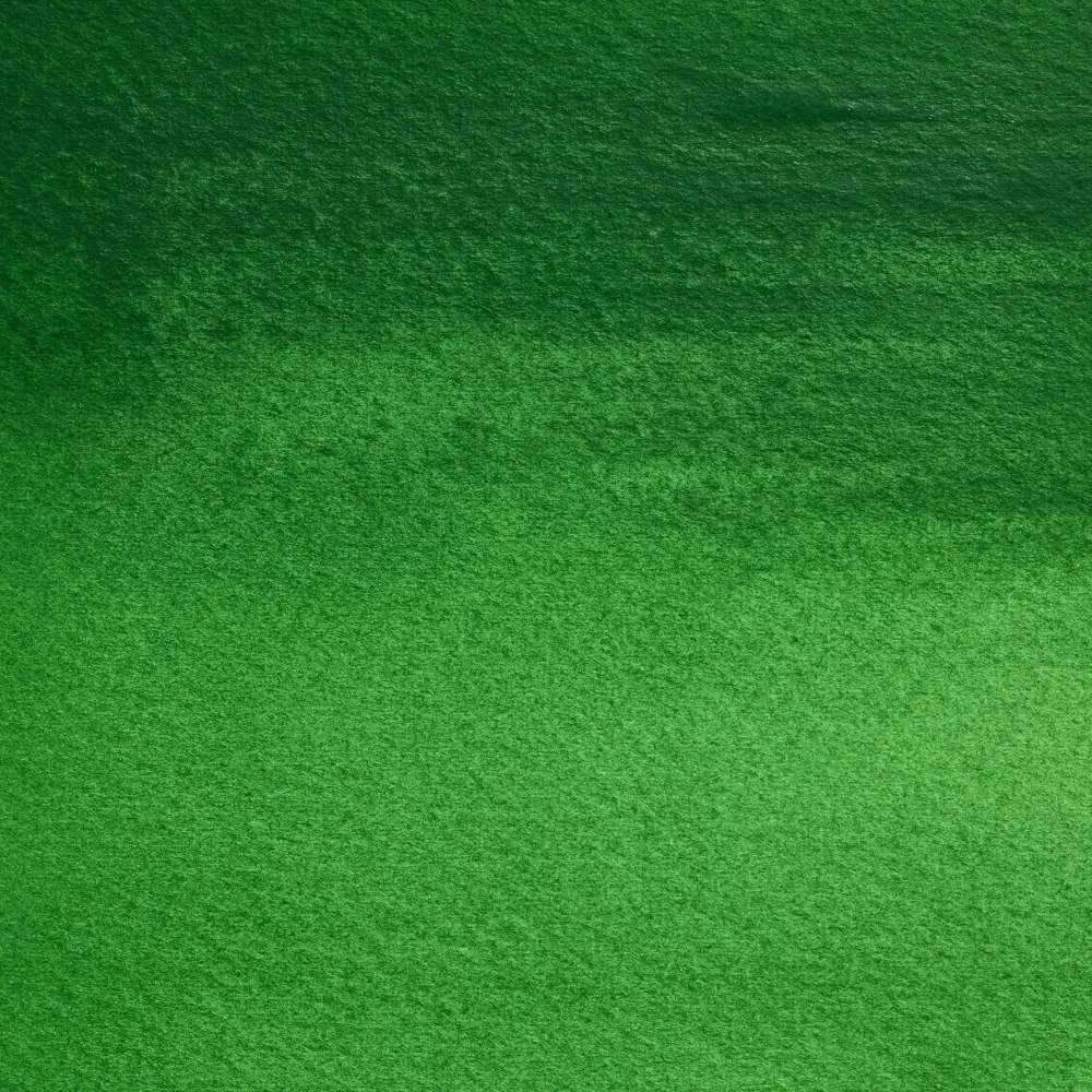 Winsor & Newton Farba akwarelowa Professional w półkostce - - Cinnabar Green