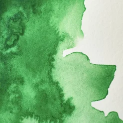 Winsor & Newton Farba akwarelowa Professional w półkostce - - Cinnabar Green