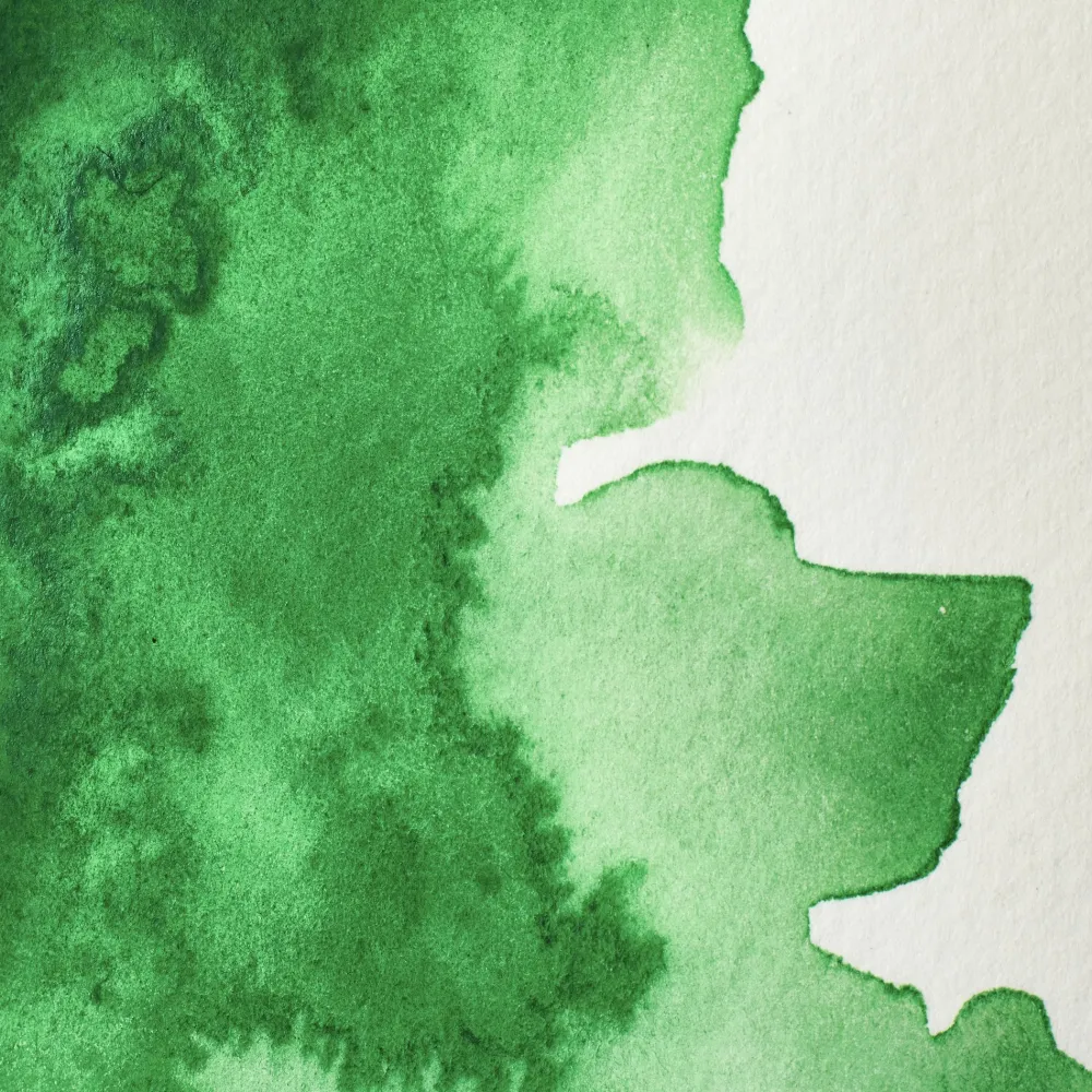Winsor & Newton Farba akwarelowa Professional w półkostce - - Cinnabar Green