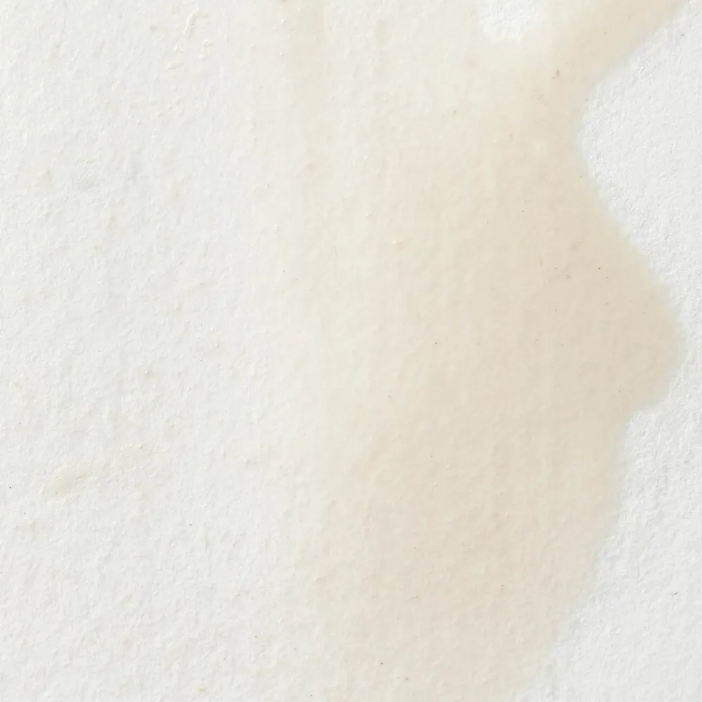 Winsor & Newton Farba akwarelowa Professional w półkostce - - Cadmium Yellow Pale > Farby Akwarelowe