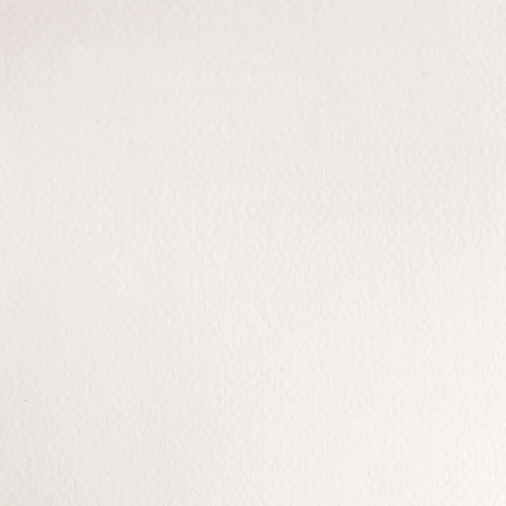 Winsor & Newton Farba akwarelowa Professional w półkostce - - Cadmium Yellow Pale > Farby Akwarelowe