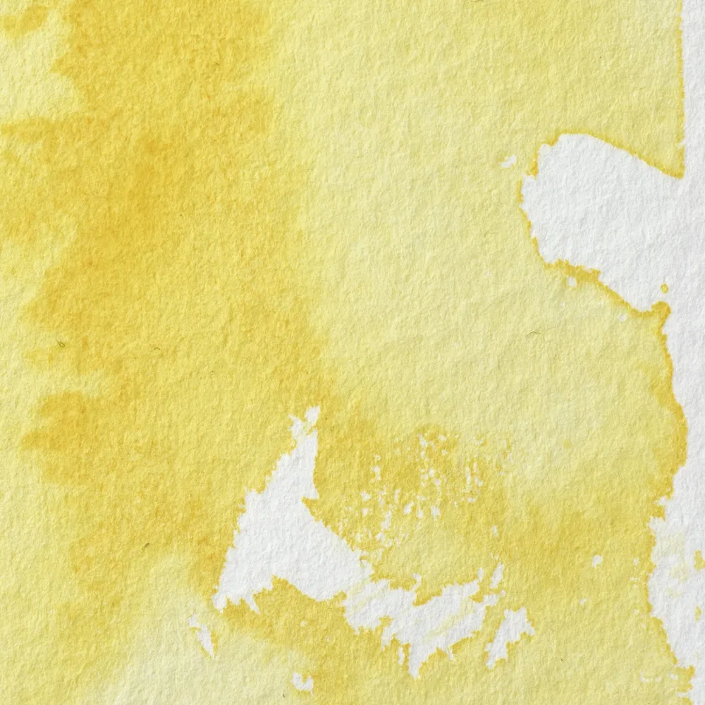 Winsor & Newton Farba akwarelowa Professional w półkostce - - Transparent Yellow