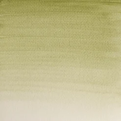 Winsor & Newton Farba akwarelowa Professional w półkostce - - Terre Verte (Yellow Shade)