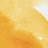 Winsor & Newton Farba akwarelowa Professional w półkostce - - Winsor Yellow Deep