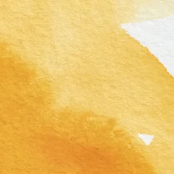 Winsor & Newton Farba akwarelowa Professional w półkostce - - Winsor Yellow Deep