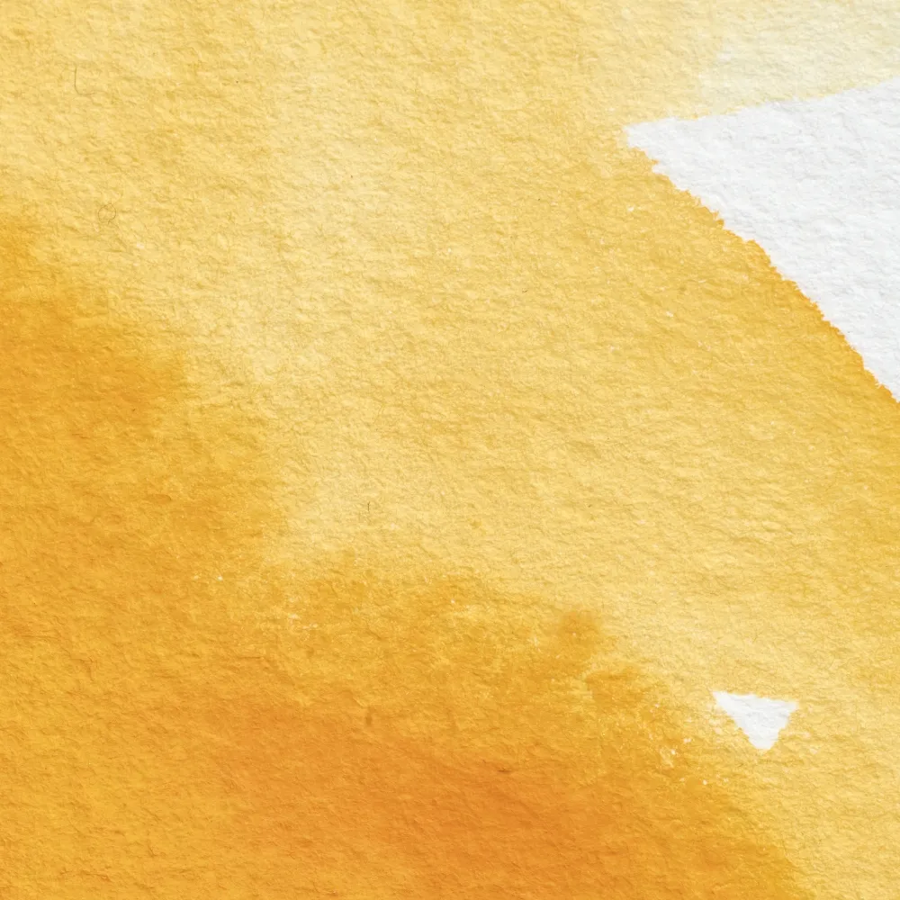Winsor & Newton Farba akwarelowa Professional w półkostce - - Winsor Yellow Deep