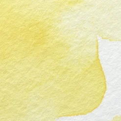 Winsor & Newton Farba akwarelowa Professional w półkostce - - Winsor Yellow