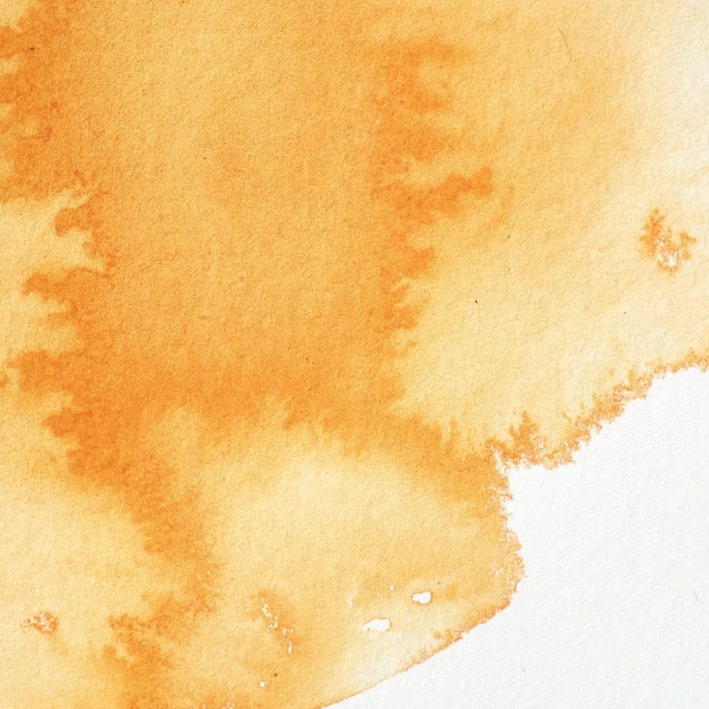 Winsor & Newton Farba akwarelowa Professional w półkostce - - Winsor Orange