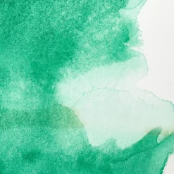 Winsor & Newton Farba akwarelowa Professional w półkostce - - Winsor Green (Yellow Shade)