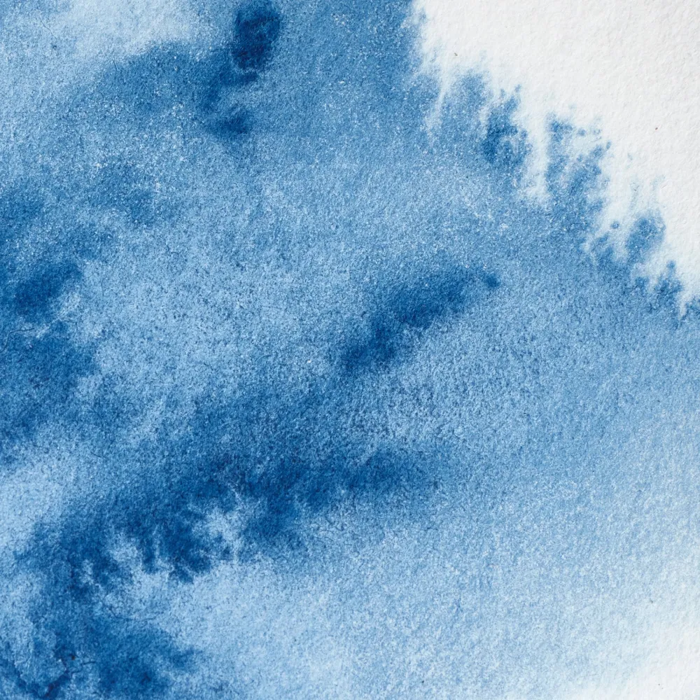 Winsor & Newton Farba akwarelowa Professional w półkostce - - Antwerp Blue