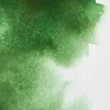 Winsor & Newton Farba akwarelowa Professional w półkostce - - Hooker’s Green > Farby Akwarelowe