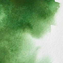 Winsor & Newton Farba akwarelowa Professional w półkostce - - Hooker’s Green > Farby Akwarelowe