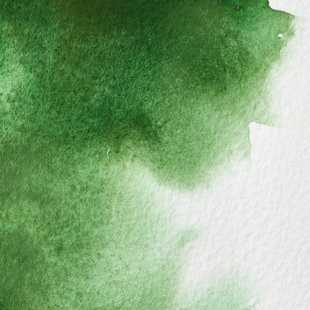 Winsor & Newton Farba akwarelowa Professional w półkostce - - Hooker’s Green > Farby Akwarelowe