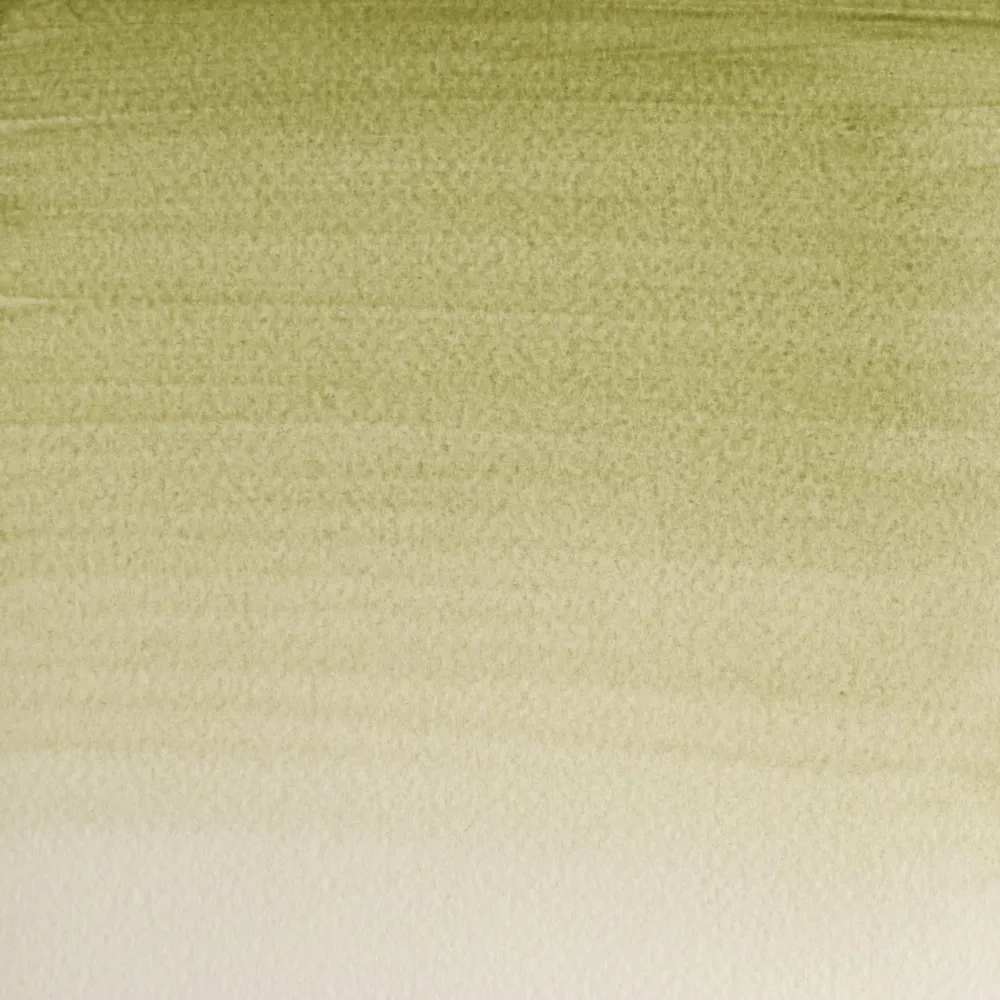 Winsor & Newton Farba akwarelowa Professional Watercolour - - Terre Verte, 5 ml > Farby Akwarelowe